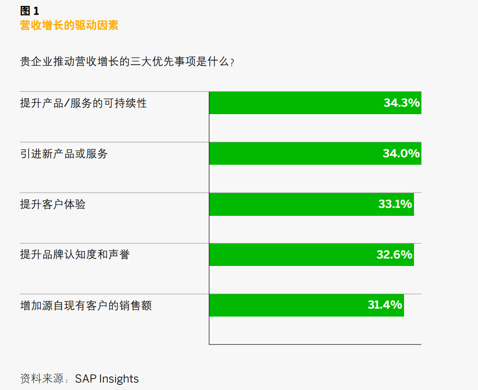 SAP成长型企业