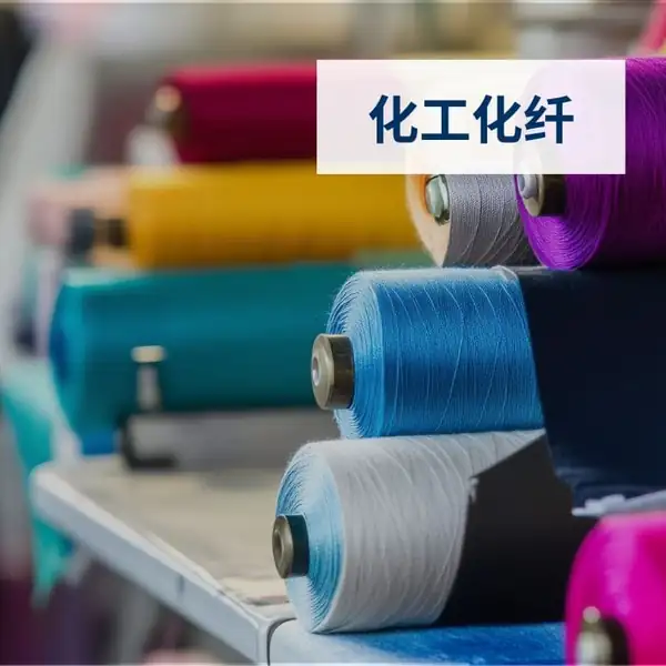 化工化纤SAP方案