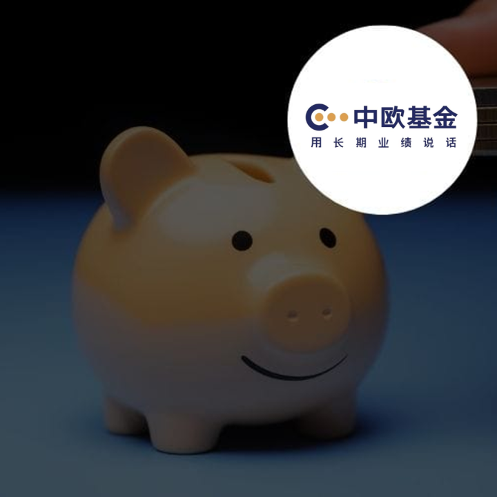 上海中欧基金-SAP金融服务行业案例