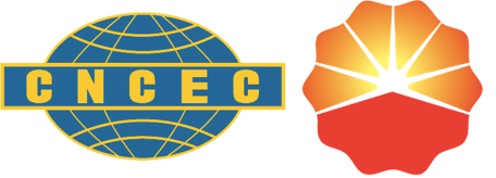 四川晟达logo