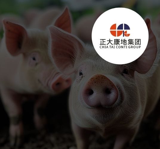 正大康地集团SAP数字化案例封面