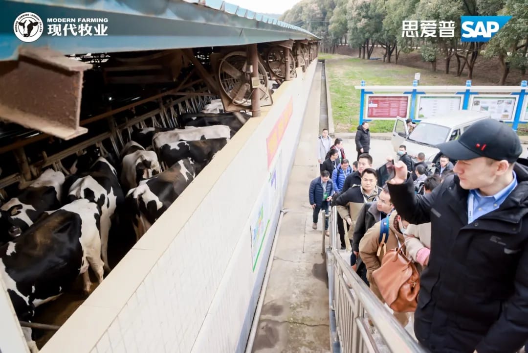 探访现代牧业-农牧全产业链数字化转型的实践与思考