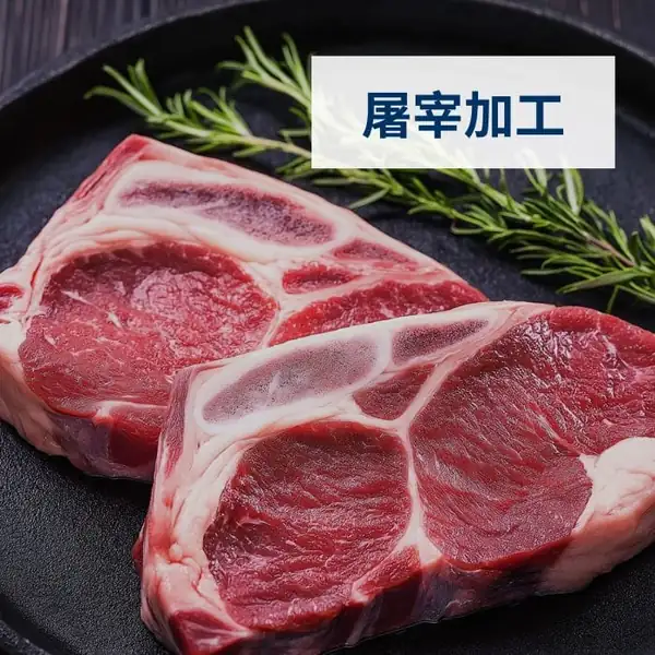 屠宰加工方案页封面