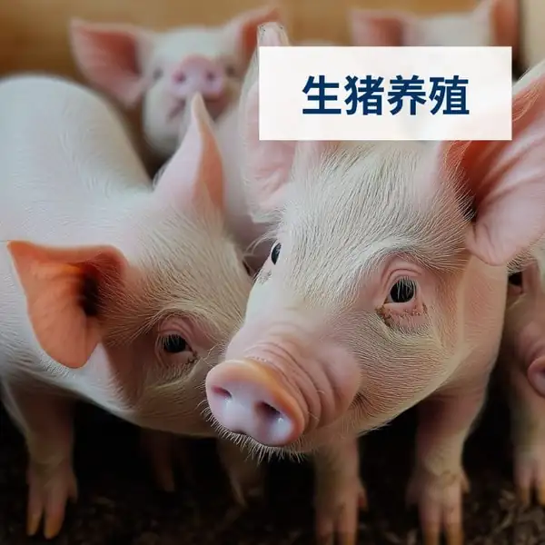 生猪养殖SAP解决方案-助力生猪养殖企业数字化转型-打造全产业链一体化平台