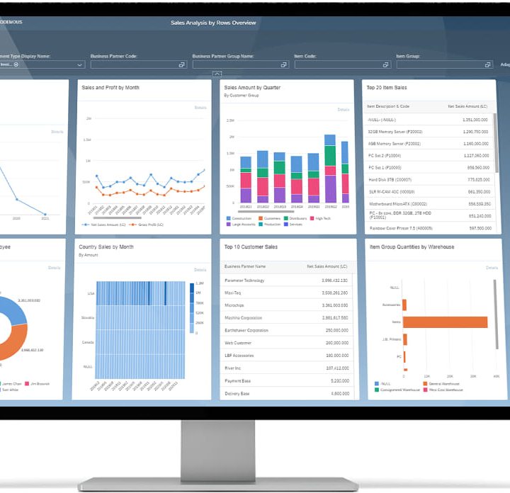 SAP Business One-面向中小型企业的私有化部署ERP管理平台