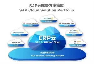 SAP ERP云