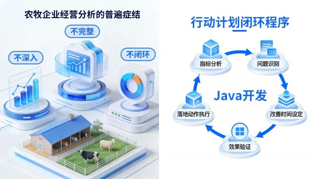 智扬信达BI经营分析-直击经营分析的行业症结