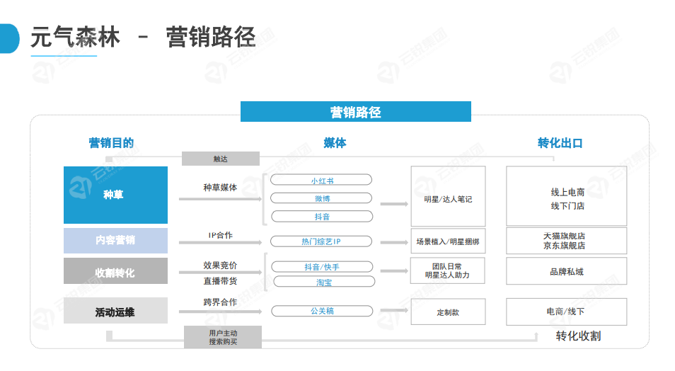 新锐快消品出圈营销分析报告-元气森林